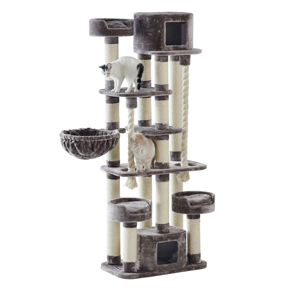 Nobby Kratzbaum KYLA 4 Nobby Kratzbaum KYLA – Bild 4