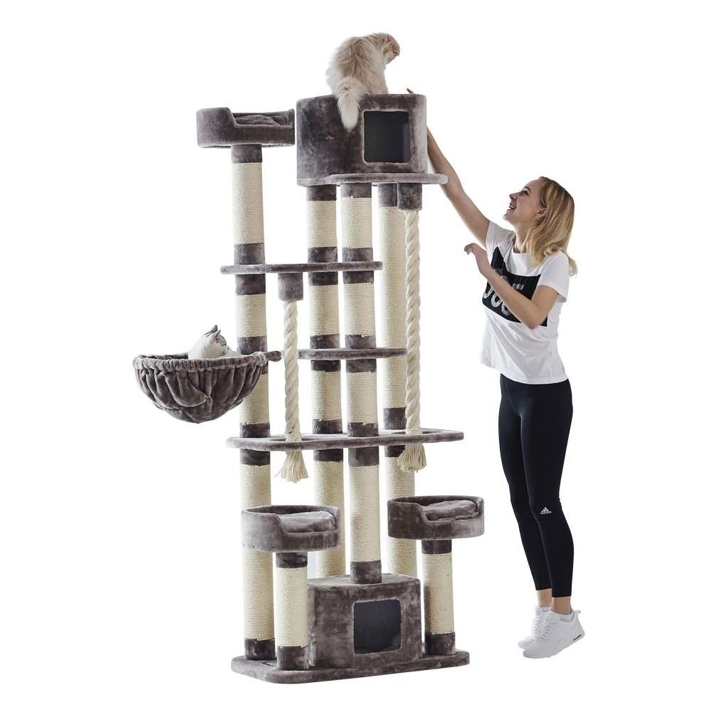 Nobby Kratzbaum KYLA 5 Nobby Kratzbaum KYLA – Bild 5