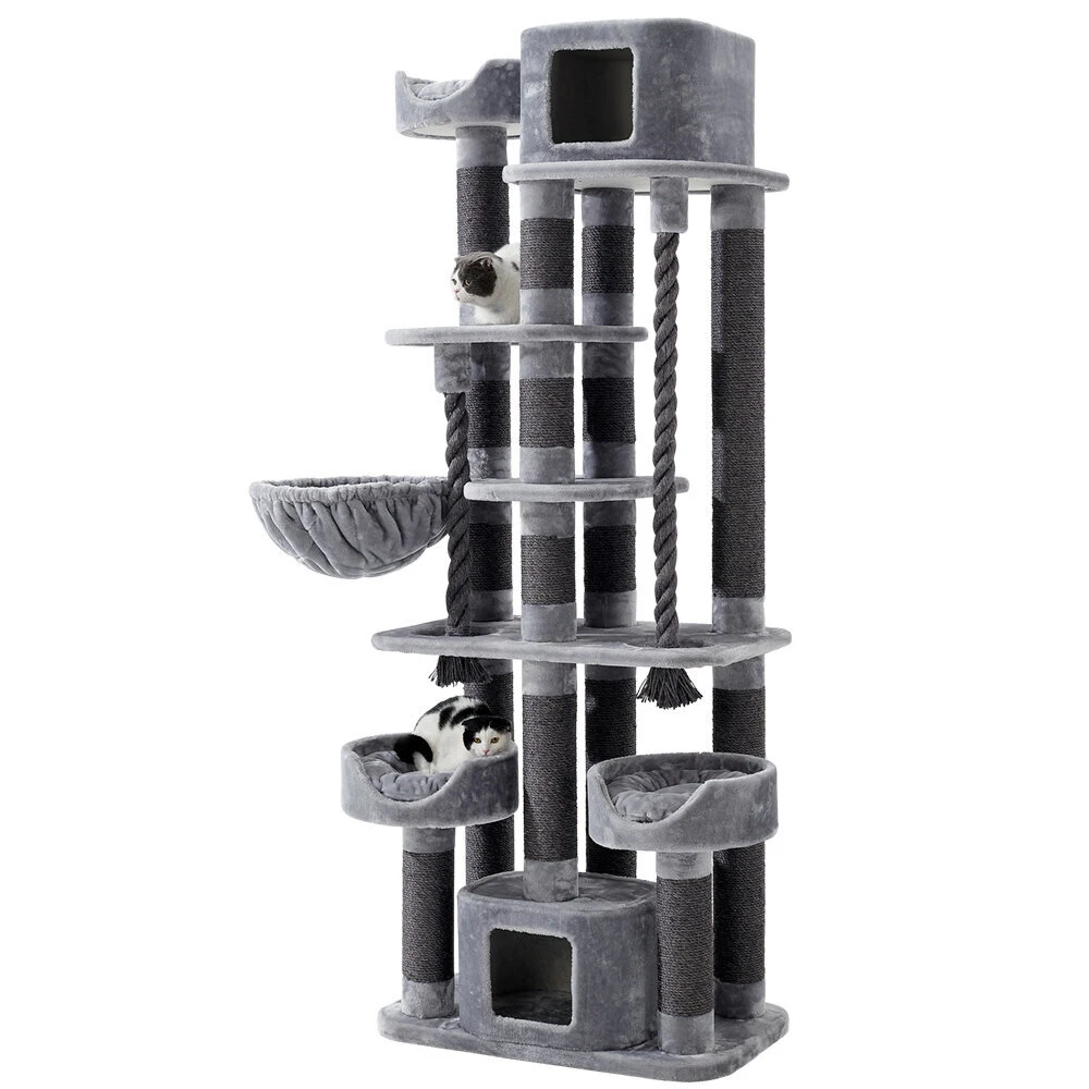 Nobby Kratzbaum KYLA 3 Nobby Kratzbaum KYLA – Bild 3