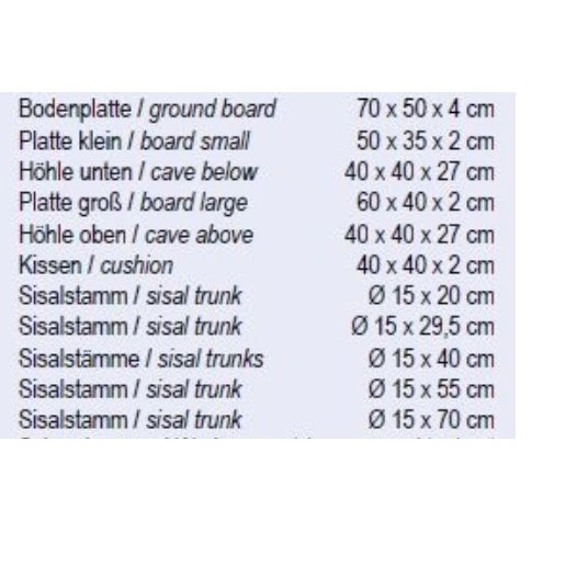 Nobby Kratzbaum Loano 5 Nobby Kratzbaum Loano – Bild 5