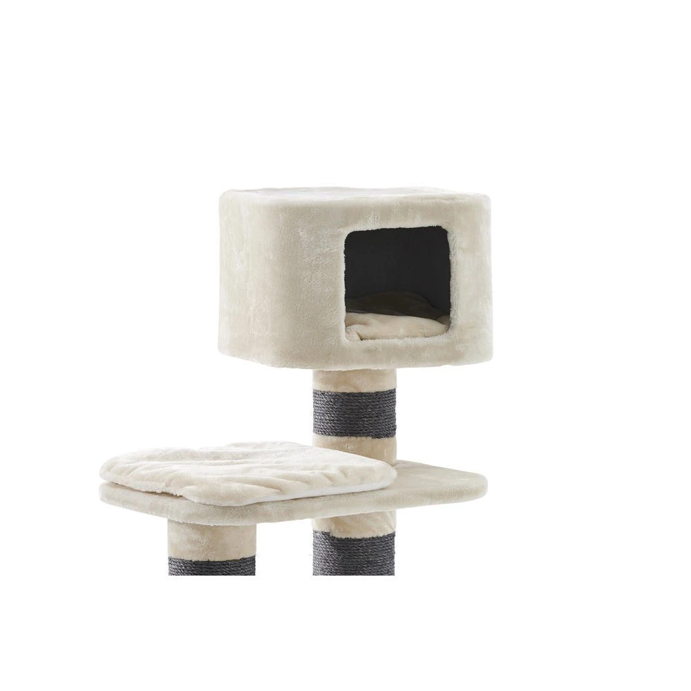 Nobby Kratzbaum Loano 4 Nobby Kratzbaum Loano – Bild 4