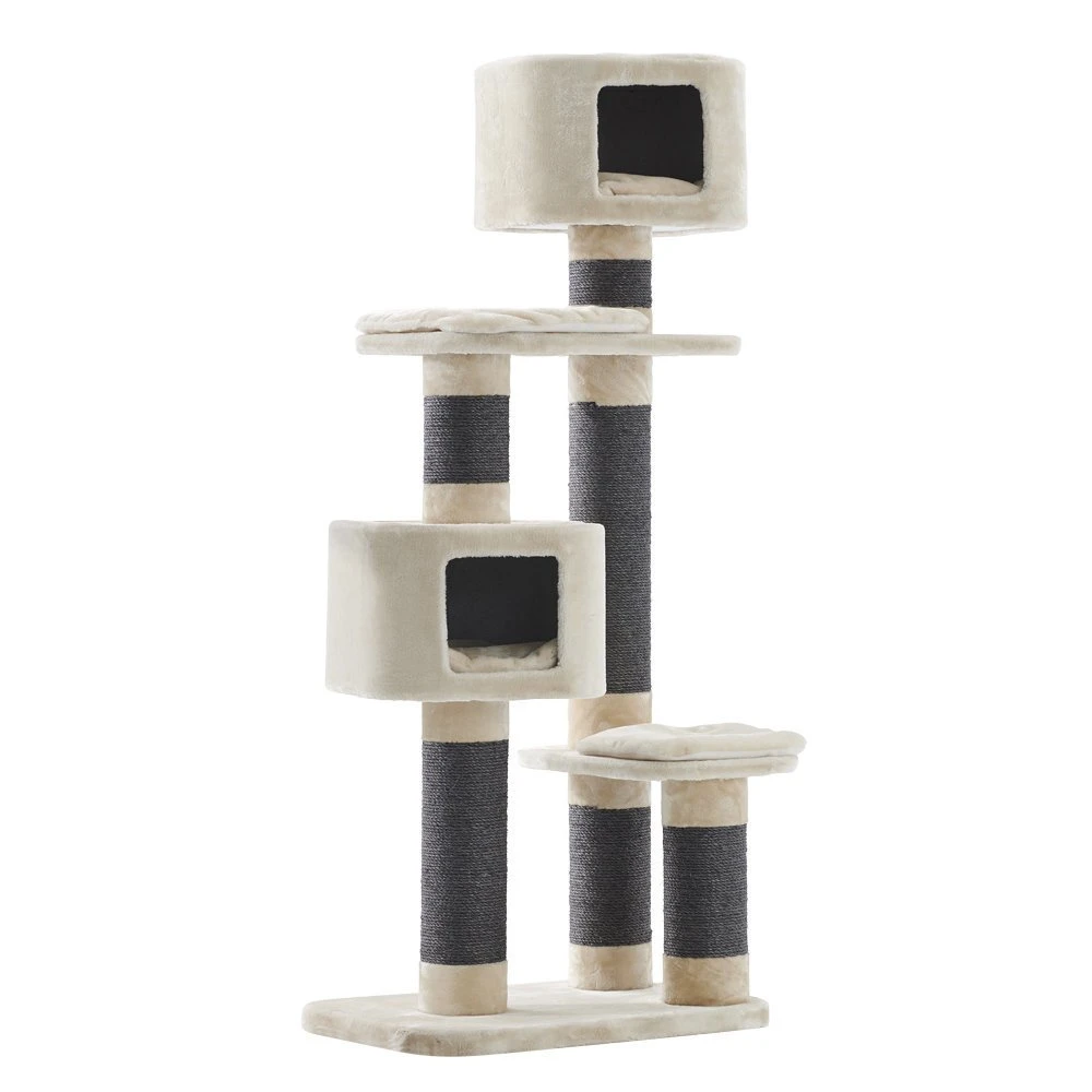 Nobby Kratzbaum Loano 3 Nobby Kratzbaum Loano – Bild 3