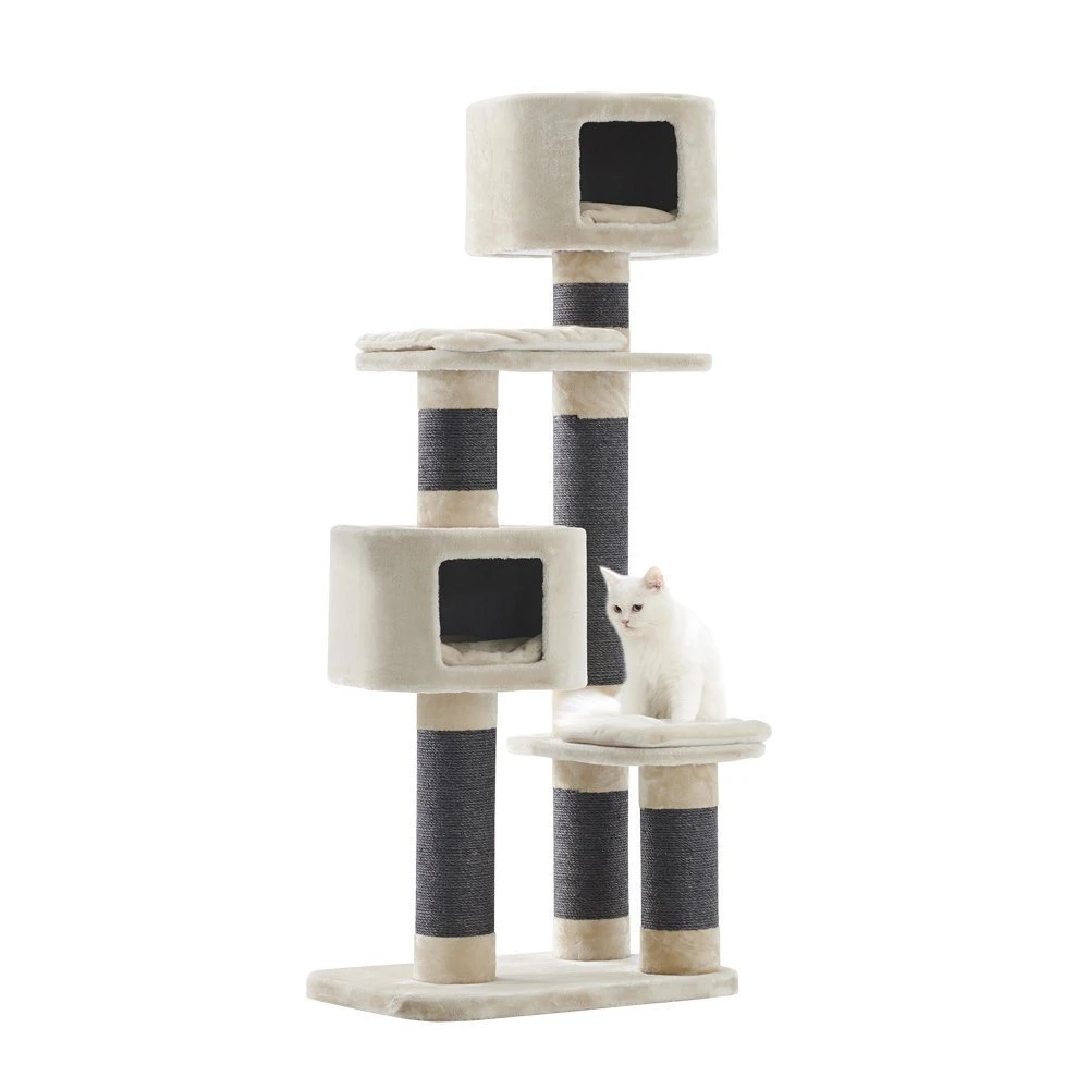 Nobby Kratzbaum Loano 1 Nobby Kratzbaum Loano