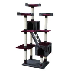 Nobby Kratzbaum ORLANDO