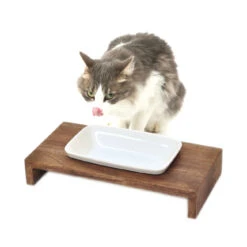 REPLUS Katzennapf Siam True -KERBL Verkaufsgeschäft replus katzennapf siam true 1504120737