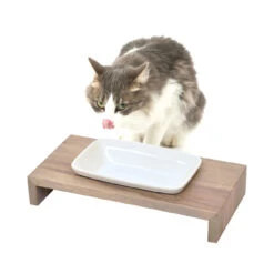 REPLUS Katzennapf Siam True -KERBL Verkaufsgeschäft replus katzennapf siam true 1504120753