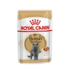 Royal Canin British Shorthair Adult Katzenfutter Nass Für Britisch Kurzhaar