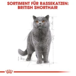 Royal Canin British Shorthair Adult Katzenfutter Nass Für Britisch Kurzhaar -KERBL Verkaufsgeschäft royal canin british shorthair adult katzenfutter nass fuer britisch kurzhaar 1565697466
