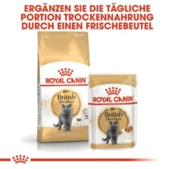 Royal Canin British Shorthair Adult Katzenfutter Nass Für Britisch Kurzhaar -KERBL Verkaufsgeschäft royal canin british shorthair adult katzenfutter nass fuer britisch kurzhaar 1565697468