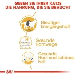 Royal Canin British Shorthair Adult Katzenfutter Nass Für Britisch Kurzhaar -KERBL Verkaufsgeschäft royal canin british shorthair adult katzenfutter nass fuer britisch kurzhaar 1565697470