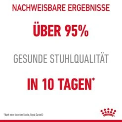 Royal Canin Digestive Nassfutter Für Katzen Mit Empfindlicher Verdauung -KERBL Verkaufsgeschäft royal canin digest sensitive nassfutter fuer katzen mit empfindlicher verdauung 1679650393
