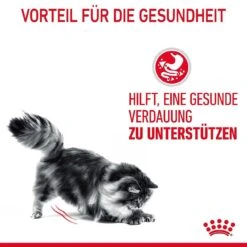 Royal Canin Digestive Nassfutter Für Katzen Mit Empfindlicher Verdauung -KERBL Verkaufsgeschäft royal canin digest sensitive nassfutter fuer katzen mit empfindlicher verdauung 1679650419