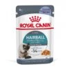 Royal Canin Hairball Care Katzenfutter Nass Gegen Haarballen