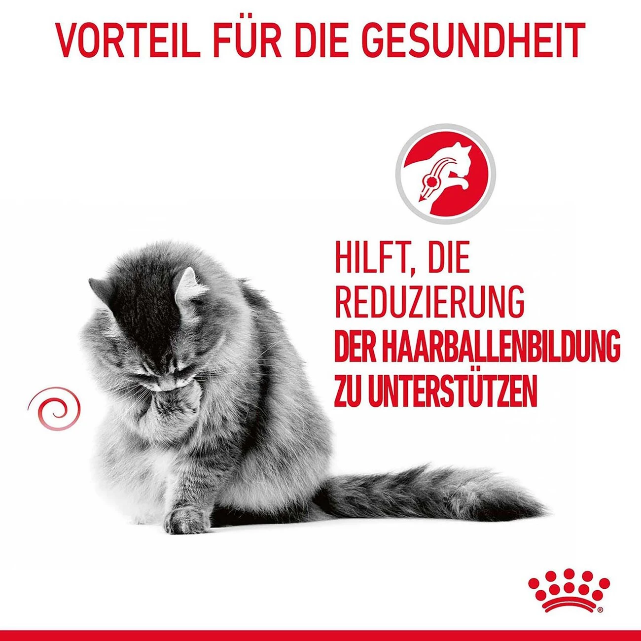 Royal Canin Hairball Care Katzenfutter Nass Gegen Haarballen 2 Royal Canin Hairball Care Katzenfutter Nass Gegen Haarballen – Bild 2
