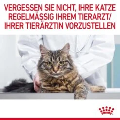 Royal Canin Hairball Care Katzenfutter Nass Gegen Haarballen 19 Royal Canin Hairball Care Katzenfutter Nass Gegen Haarballen -KERBL Verkaufsgeschäft royal canin hairball care katzenfutter nass gegen haarballen 1679651400