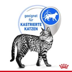 Royal Canin Indoor Sterilised Katzenfutter 7+ Nass In Gelee Und Sauce 11 Royal Canin Indoor Sterilised Katzenfutter 7+ Nass In Gelee Und Sauce -KERBL Verkaufsgeschäft royal canin indoor sterilised katzenfutter 7 nass in gelee und sauce 1652353410