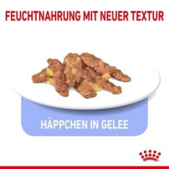 Royal Canin Indoor Sterilised Katzenfutter 7+ Nass In Gelee Und Sauce 12 Royal Canin Indoor Sterilised Katzenfutter 7+ Nass In Gelee Und Sauce -KERBL Verkaufsgeschäft royal canin indoor sterilised katzenfutter 7 nass in gelee und sauce 1652353414