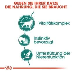 Royal Canin Instinctive 7+ Nassfutter In Soße Für ältere Katzen -KERBL Verkaufsgeschäft royal canin instinctive 7 nassfutter in sosse fuer aeltere katzen 1565869981