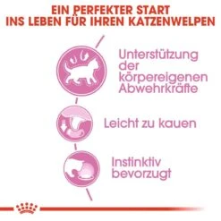 Royal Canin Kitten Nassfutter -KERBL Verkaufsgeschäft royal canin kitten nassfutter in sosse oder gelee fuer kaetzchen 1565873774