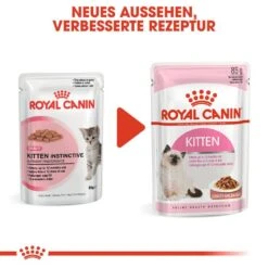 Royal Canin Kitten Nassfutter -KERBL Verkaufsgeschäft royal canin kitten nassfutter in sosse oder gelee fuer kaetzchen 1565873784