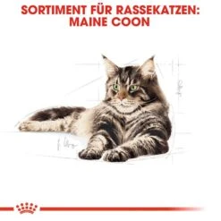 Royal Canin Maine Coon Adult Katzenfutter Nass -KERBL Verkaufsgeschäft royal canin maine coon adult katzenfutter nass 1565698328