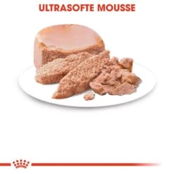 Royal Canin MOTHER & BABYCAT Mousse Für Tragende Katzen Und Kitten 7 Royal Canin MOTHER & BABYCAT Mousse Für Tragende Katzen Und Kitten -KERBL Verkaufsgeschäft royal canin mother babycat mousse fuer tragende katzen und kitten 1565874518