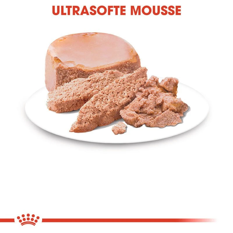 Royal Canin MOTHER & BABYCAT Mousse Für Tragende Katzen Und Kitten 3 Royal Canin MOTHER & BABYCAT Mousse Für Tragende Katzen Und Kitten – Bild 3