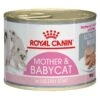 Royal Canin MOTHER & BABYCAT Mousse Für Tragende Katzen Und Kitten
