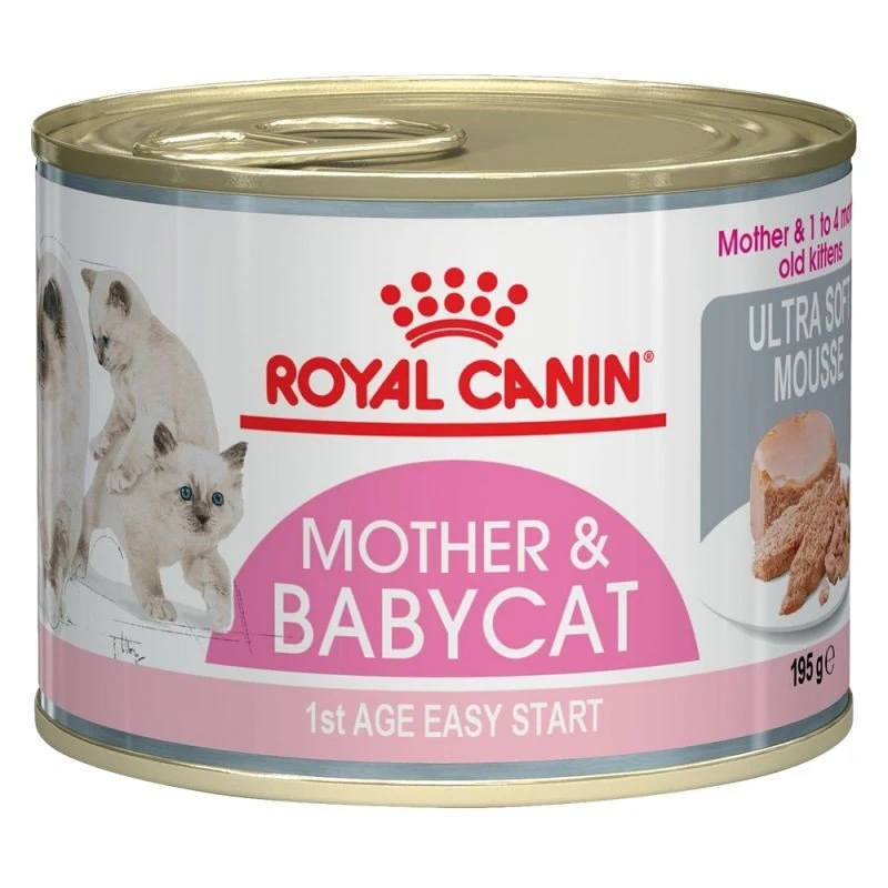 Royal Canin MOTHER & BABYCAT Mousse Für Tragende Katzen Und Kitten 1 Royal Canin MOTHER & BABYCAT Mousse Für Tragende Katzen Und Kitten