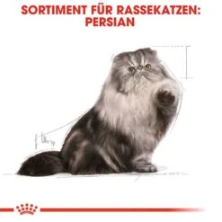 Royal Canin Persian Adult Katzenfutter Nass Für Perser-Katzen -KERBL Verkaufsgeschäft royal canin persian adult katzenfutter nass fuer perser katzen 1566214424