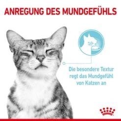 Royal Canin Sensory Feel Stimulation Katzen Nass Futter 15 Royal Canin Sensory Feel Stimulation Katzen Nass Futter -KERBL Verkaufsgeschäft royal canin sensory feel stimulation katzen nass futter 1631092396