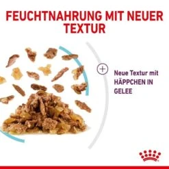 Royal Canin Sensory Feel Stimulation Katzen Nass Futter 22 Royal Canin Sensory Feel Stimulation Katzen Nass Futter -KERBL Verkaufsgeschäft royal canin sensory feel stimulation katzen nass futter 1631092581
