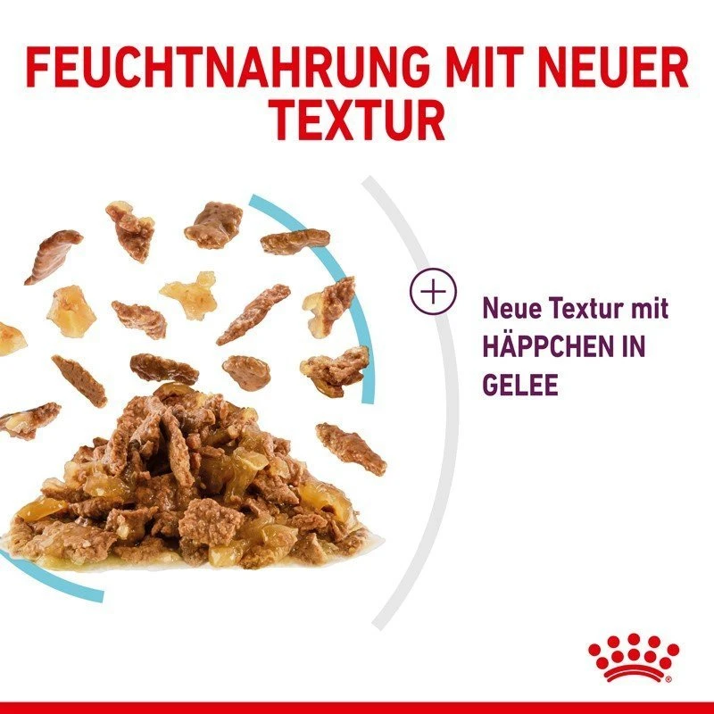 Royal Canin Sensory Feel Stimulation Katzen Nass Futter 11 Royal Canin Sensory Feel Stimulation Katzen Nass Futter – Bild 11