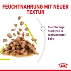 Royal Canin Sensory Smell Stimulation Katzen Nassfutter 18 Royal Canin Sensory Smell Stimulation Katzen Nassfutter -KERBL Verkaufsgeschäft royal canin sensory smell stimulation katzen nassfutter 1631092726