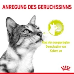 Royal Canin Sensory Smell Stimulation Katzen Nassfutter 16 Royal Canin Sensory Smell Stimulation Katzen Nassfutter -KERBL Verkaufsgeschäft royal canin sensory smell stimulation katzen nassfutter 1631092728