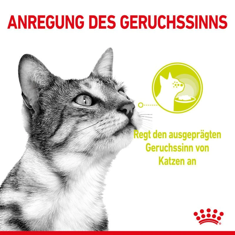 Royal Canin Sensory Smell Stimulation Katzen Nassfutter 3 Royal Canin Sensory Smell Stimulation Katzen Nassfutter – Bild 3
