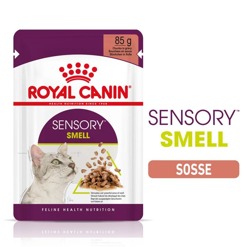 Royal Canin Sensory Smell Stimulation Katzen Nassfutter 2 Royal Canin Sensory Smell Stimulation Katzen Nassfutter – Bild 2
