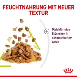Royal Canin Sensory Smell Stimulation Katzen Nassfutter 24 Royal Canin Sensory Smell Stimulation Katzen Nassfutter -KERBL Verkaufsgeschäft royal canin sensory smell stimulation katzen nassfutter 1631092807