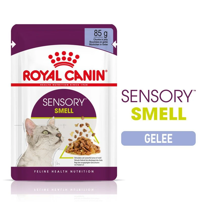 Royal Canin Sensory Smell Stimulation Katzen Nassfutter 10 Royal Canin Sensory Smell Stimulation Katzen Nassfutter – Bild 10