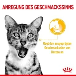 Royal Canin Sensory Taste Stimulation Katzen Nassfutter 17 Royal Canin Sensory Taste Stimulation Katzen Nassfutter -KERBL Verkaufsgeschäft royal canin sensory taste stimulation katzen nassfutter 1631093013