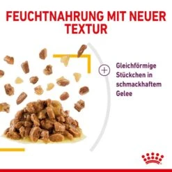 Royal Canin Sensory Taste Stimulation Katzen Nassfutter 26 Royal Canin Sensory Taste Stimulation Katzen Nassfutter -KERBL Verkaufsgeschäft royal canin sensory taste stimulation katzen nassfutter 1631093067