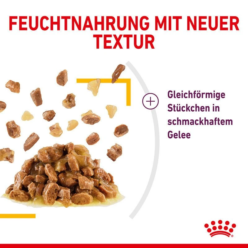 Royal Canin Sensory Taste Stimulation Katzen Nassfutter 12 Royal Canin Sensory Taste Stimulation Katzen Nassfutter – Bild 12