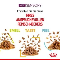 Royal Canin Sensory Taste Stimulation Katzen Nassfutter 25 Royal Canin Sensory Taste Stimulation Katzen Nassfutter -KERBL Verkaufsgeschäft royal canin sensory taste stimulation katzen nassfutter 1631093075