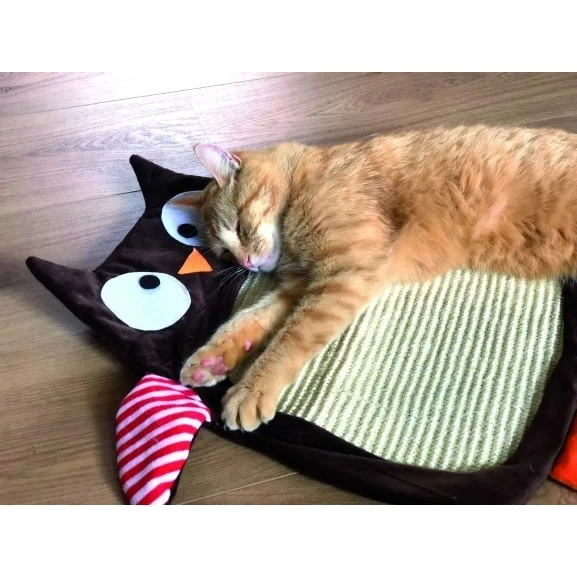 Aumüller Sisalkratzbrett Schmuse-Eule 2 Aumüller Sisalkratzbrett Schmuse-Eule – Bild 2