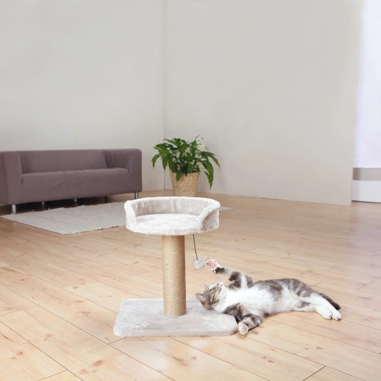 TRIXIE Kleiner Trixie Kratzbaum Mica 2 TRIXIE Kleiner Trixie Kratzbaum Mica – Bild 2