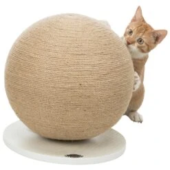 TRIXIE Kratzball Für Katzen 7 TRIXIE Kratzball Für Katzen -KERBL Verkaufsgeschäft trixie kratzball fuer katzen1 x1000 y964