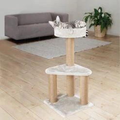 TRIXIE Kratzbaum Ivan -KERBL Verkaufsgeschäft trixie kratzbaum ivan 1609320541