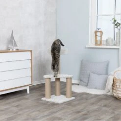 TRIXIE Kratzbaum Ivan -KERBL Verkaufsgeschäft trixie kratzbaum ivan 1609320565