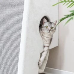 TRIXIE Kratzbaum Zur Wandmontage 34 TRIXIE Kratzbaum Zur Wandmontage -KERBL Verkaufsgeschäft trixie kratzbaum zur wandmontage 1663580613