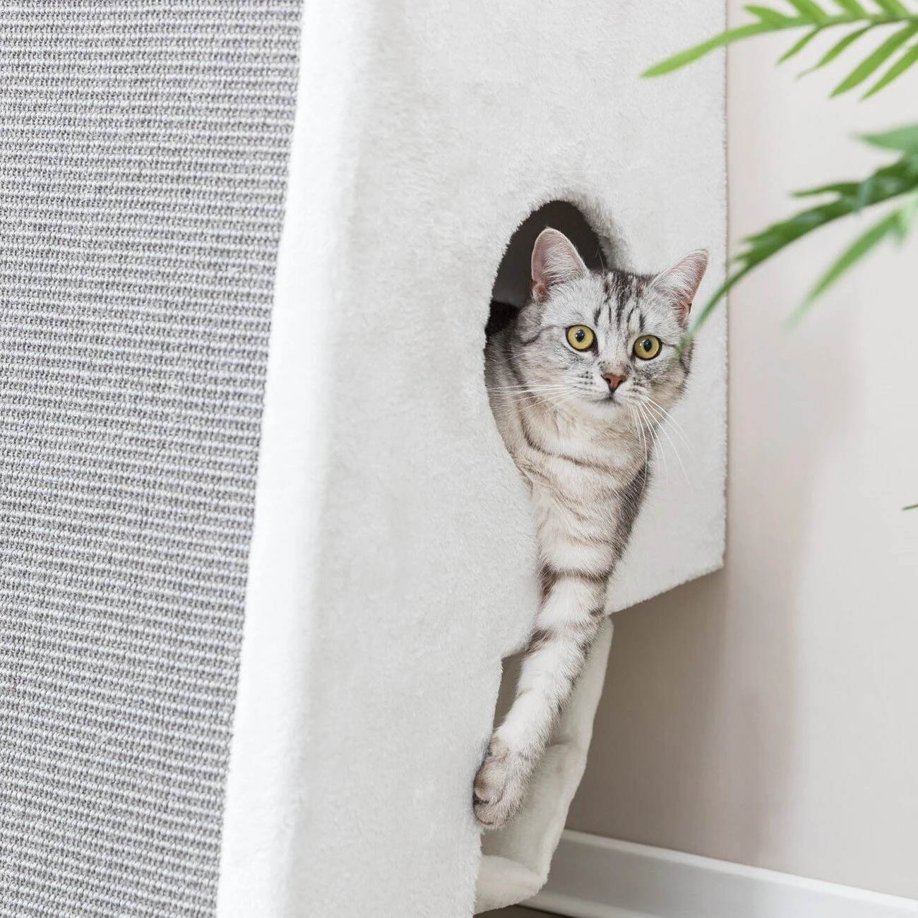 TRIXIE Kratzbaum Zur Wandmontage 15 TRIXIE Kratzbaum Zur Wandmontage – Bild 15